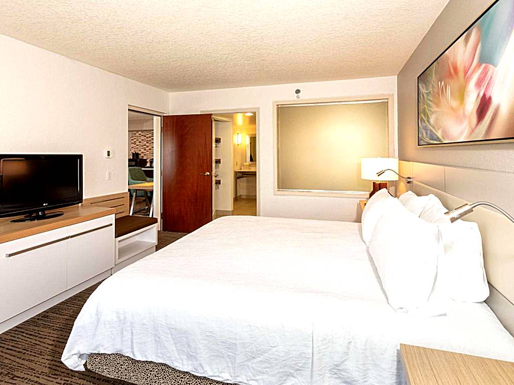 Hilton Garden Inn Daytona Beach Airport:  One-Bedroom Deluxe King Suite with Spa Bath (Daytona Beach) 