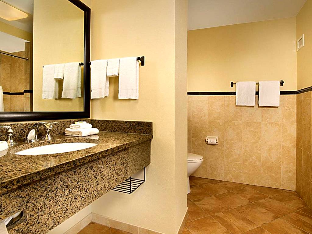 Drury Plaza Hotel San Antonio North Stone Oak: King Room with Spa Bath